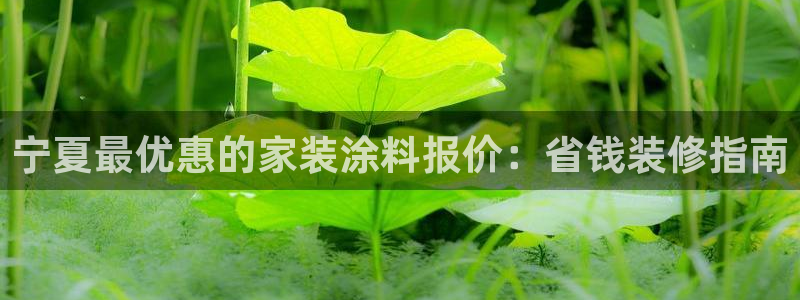 江苏和记数码科技有限公司：宁夏最优惠的家装涂料报价：省钱装修指南