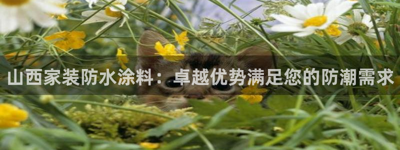 和记h8：山西家装防水涂料：卓越优势满足您的防潮需求