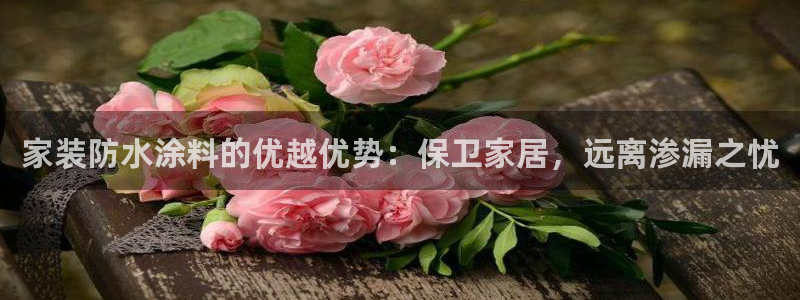 和记官网首页：家装防水涂料的优越优势：保卫家居，远离渗漏之忧