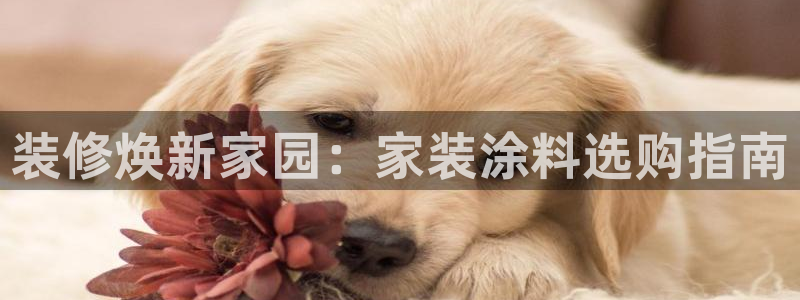 和记注册有什么送的：装修焕新家园：家装涂料选购指南