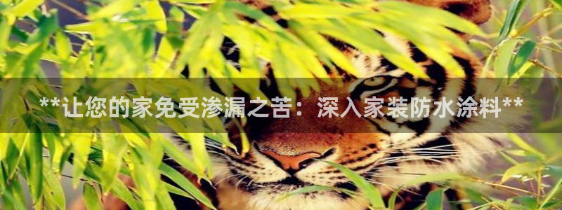 和记pc：**让您的家免受渗漏之苦：深入家装防水涂料**