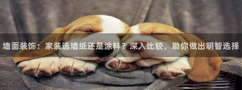 深圳和记科技有限公司：墙面装饰：家装选墙纸还是涂料？深入比较，助你做出明智选择