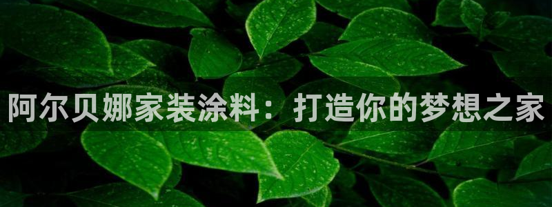 和记国际开户：阿尔贝娜家装涂料：打造你的梦想之家