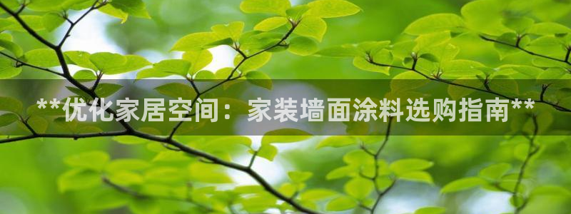 和记hj：**优化家居空间：家装墙面涂料选购指南**
