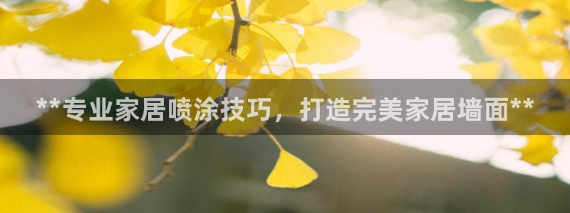 和记 中国首页：**专业家居喷涂技巧，打造完美家居墙面**