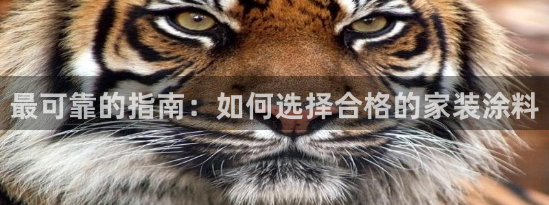 和记电业集团：最可靠的指南：如何选择合格的家装涂料