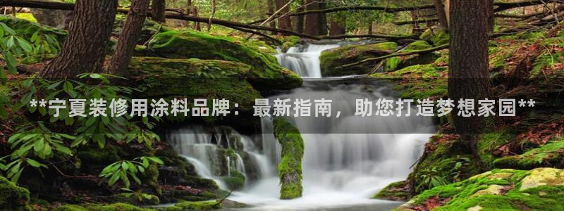 和记网页版：**宁夏装修用涂料品牌：最新指南，助您打造梦想家园**