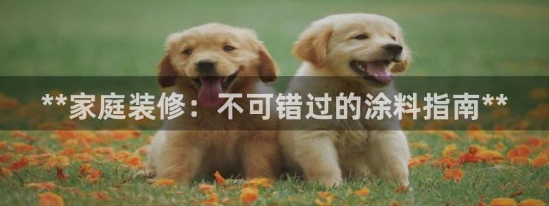 和记官网登录：**家庭装修：不可错过的涂料指南**