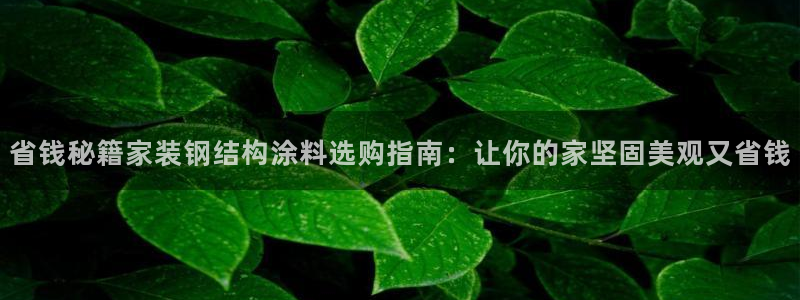 和记h88游戏：省钱秘籍家装钢结构涂料选购指南：让你的家坚固美观又省钱