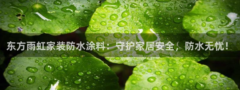 和记国际客服：东方雨虹家装防水涂料：守护家居安全，防水无忧！