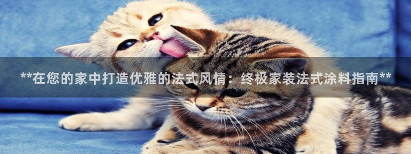 和记平台注册：**在您的家中打造优雅的法式风情：终极家装法式涂料指南**