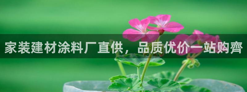 和记国际官网官网