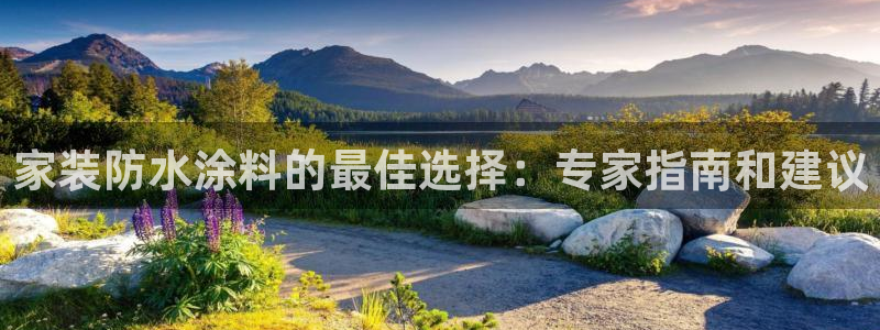 和记ag旗舰国际：家装防水涂料的最佳选择：专家指南和建议