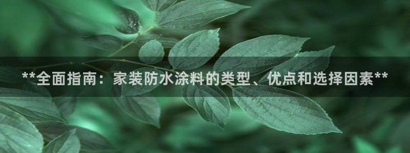 和记国际开户：**全面指南：家装防水涂料的类型、优点和选择因素**