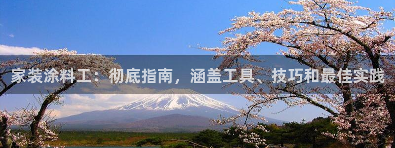 和记ag：家装涂料工：彻底指南，涵盖工具、技巧和最佳实践