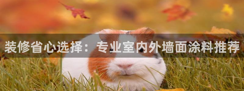 和记官网登陆