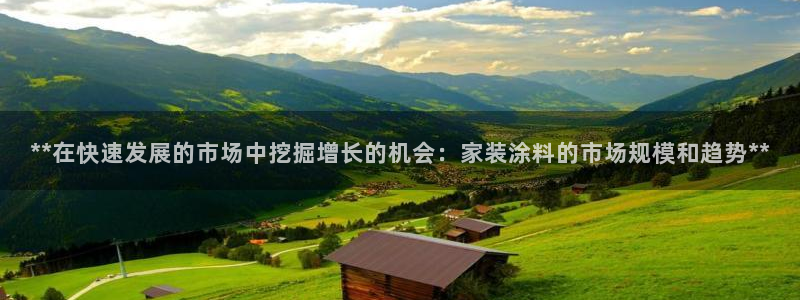 上海和记餐饮有限公司：**在快速发展的市场中挖掘增长的机会：家装涂料的市场规模和趋势**