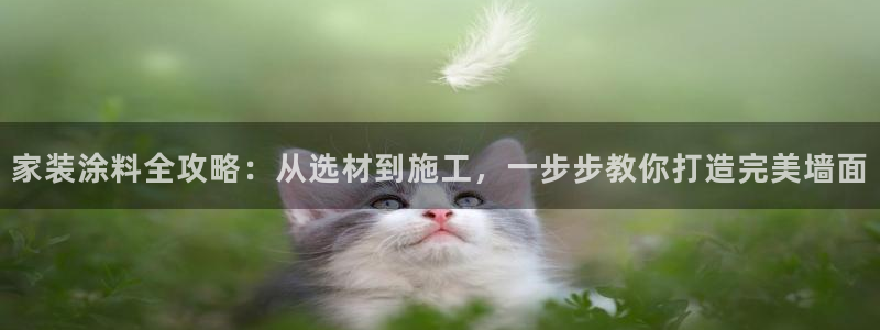 和记h88最新客户端下载：家装涂料全攻略：从选材到施工，一步步教你打造完美墙面