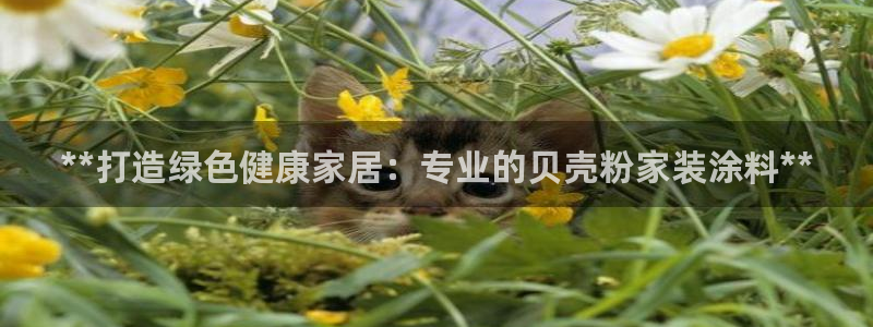 和记平台官方网：**打造绿色健康家居：专业的贝壳粉家装涂料**