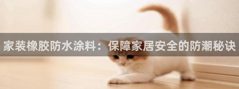 和记2017app：家装橡胶防水涂料：保障家居安全的防潮秘诀