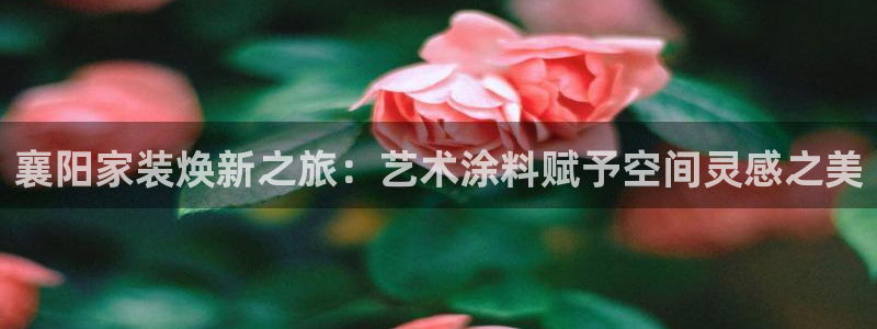 和记港口：襄阳家装焕新之旅：艺术涂料赋予空间灵感之美