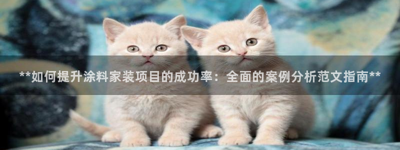 和记官网 公司：**如何提升涂料家装项目的成功率：全面的案例分析范文指南**