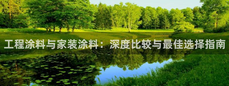 和记ag网页版：工程涂料与家装涂料：深度比较与最佳选择指南