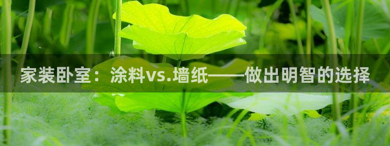 江苏和记餐饮有限公司：家装卧室：涂料vs.墙纸——做出明智的选择