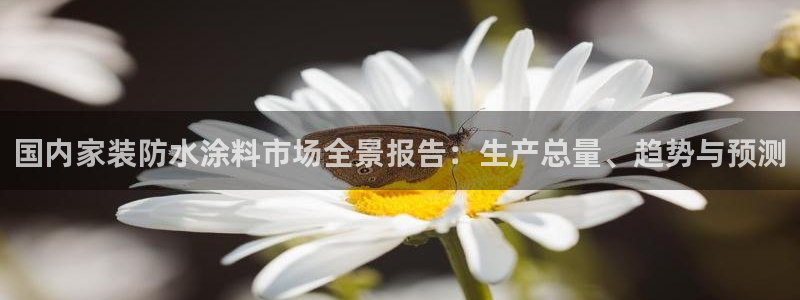 和记旗舰厅：国内家装防水涂料市场全景报告：生产总量、趋势与预测