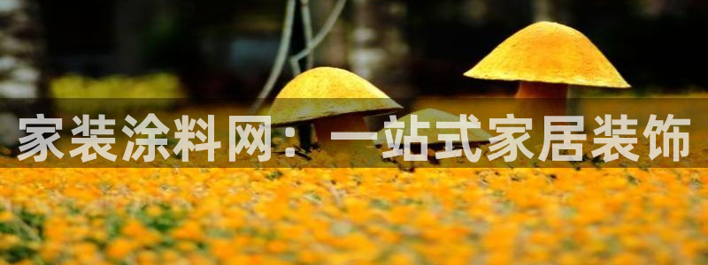 和记平台：家装涂料网：一站式家居装饰