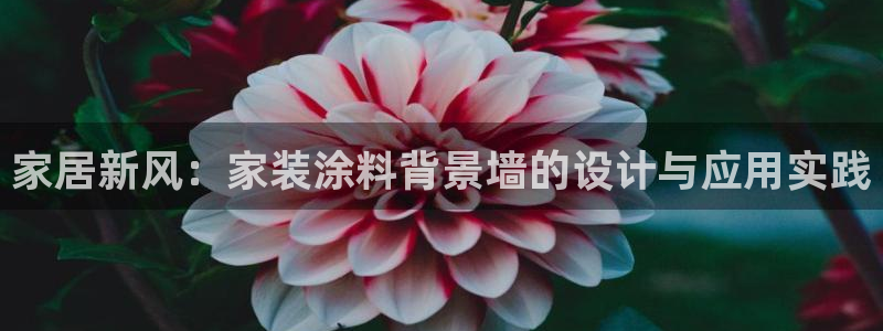 和记ag旗舰：家居新风：家装涂料背景墙的设计与应用实践