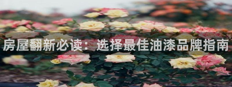 下载和记app