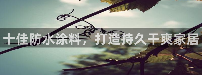 和记官网登录：十佳防水涂料，打造持久干爽家居