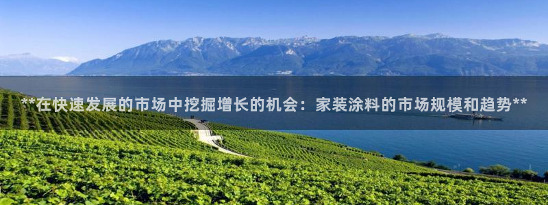 和记(福建)商贸有限公司招聘：**在快速发展的市场中挖掘增长的机会：家装涂料的市场规模和趋势**