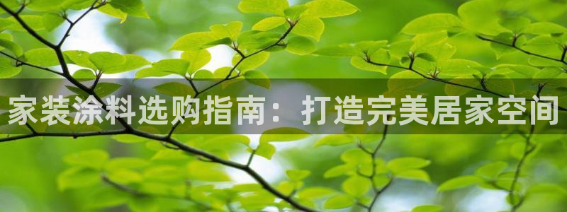 和记 中国首页：家装涂料选购指南：打造完美居家空间