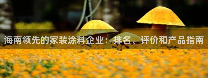 青岛大生和记餐饮管理有限公司：海南领先的家装涂料企业：排名、评价和产品指南