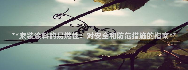和记ag旗舰厅app：**家装涂料的易燃性：对安全和防范措施的指南**
