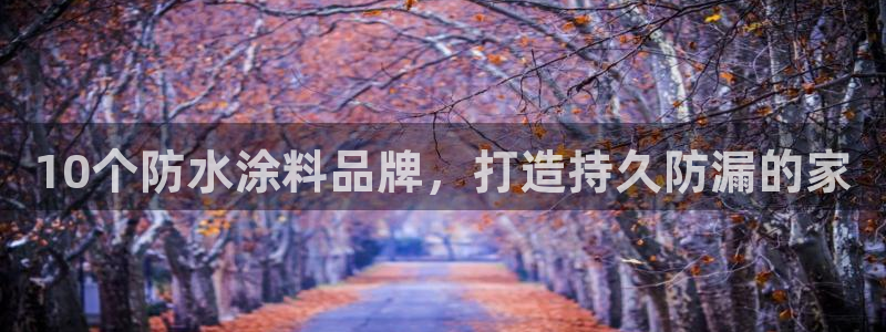 和记平台怎么样：10个防水涂料品牌，打造持久防漏的家