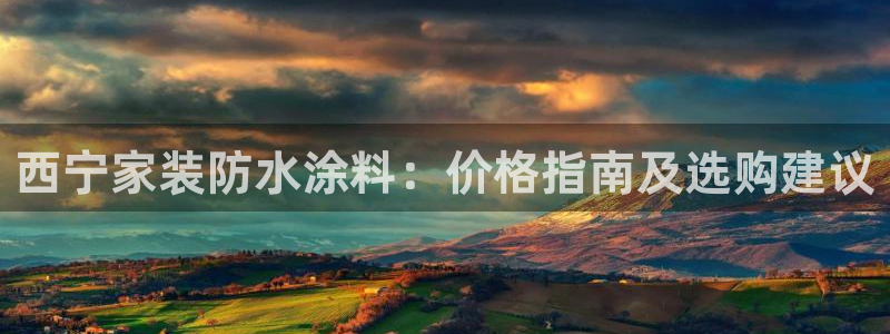 和记5g电讯：西宁家装防水涂料：价格指南及选购建议