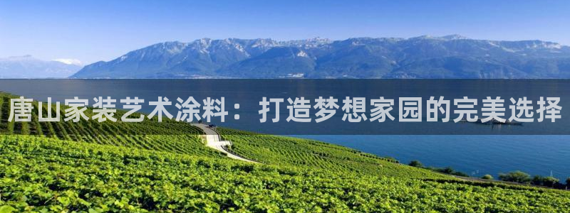 和记ag：唐山家装艺术涂料：打造梦想家园的完美选择
