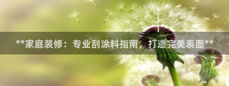 和记官方平台：**家庭装修：专业刮涂料指南，打造完美表面**