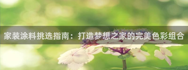 和记(福建)商贸有限公司：家装涂料挑选指南：打造梦想之家的完美色彩组合