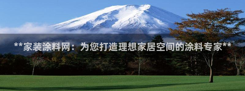 和记国际客服：**家装涂料网：为您打造理想家居空间的涂料专家**