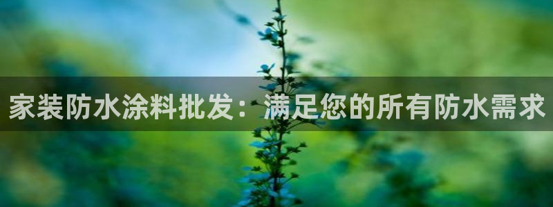 和记官方直营注册导航：家装防水涂料批发：满足您的所有防水需求