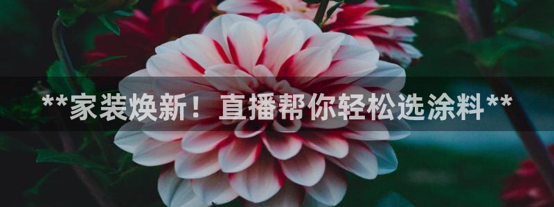 和记娱好网址：**家装焕新！直播帮你轻松选涂料**
