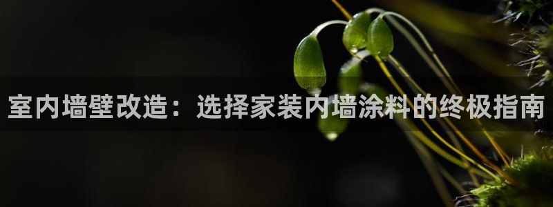 和记h8