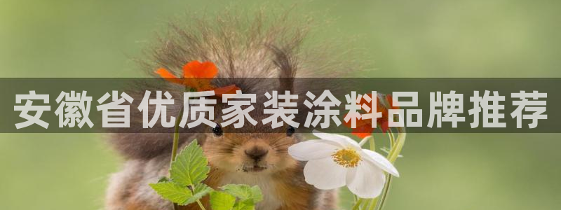 和记app官网登录：安徽省优质家装涂料品牌推荐