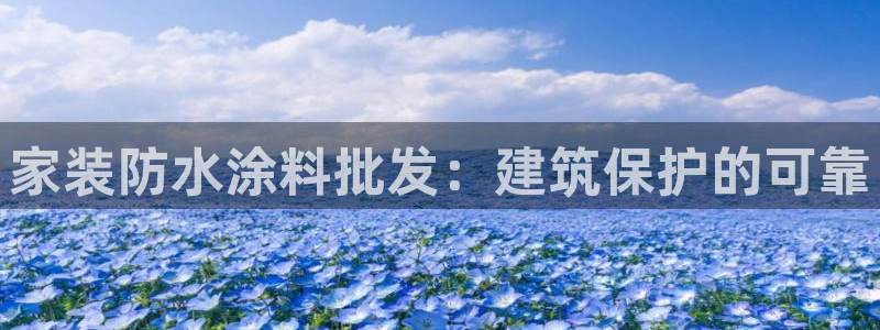 和记ag网址：家装防水涂料批发：建筑保护的可靠