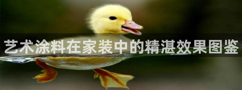 官方和记国际平台登录：艺术涂料在家装中的精湛效果图鉴