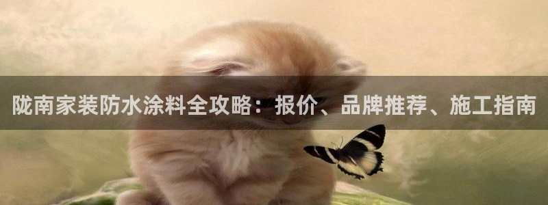 和记网页版登陆：陇南家装防水涂料全攻略：报价、品牌推荐、施工指南